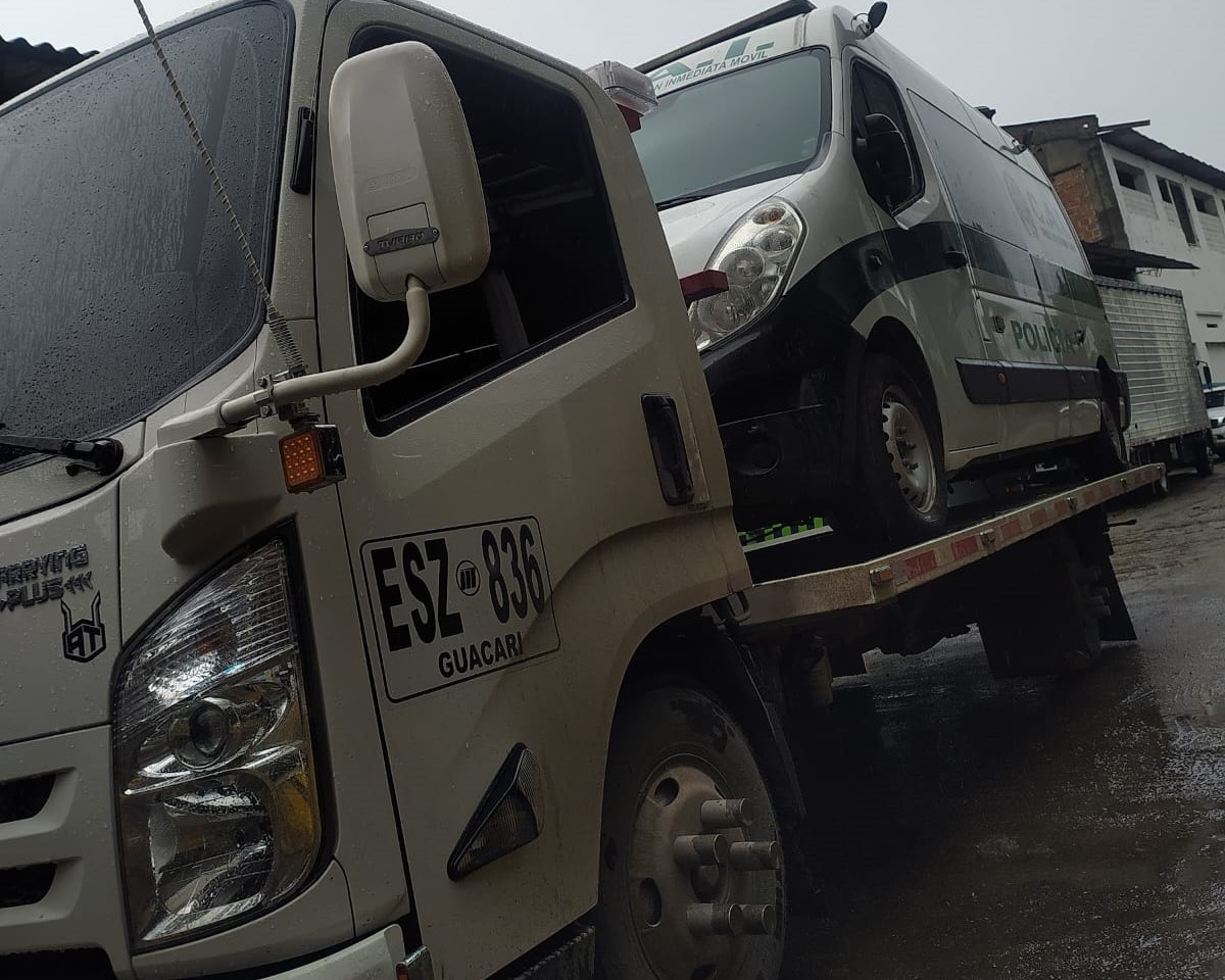 Servicio 31